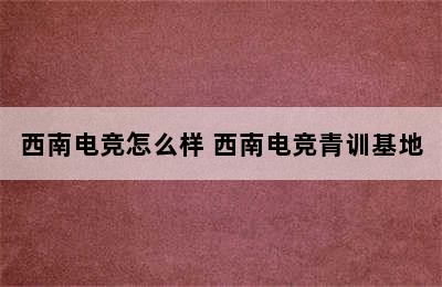 西南电竞怎么样 西南电竞青训基地